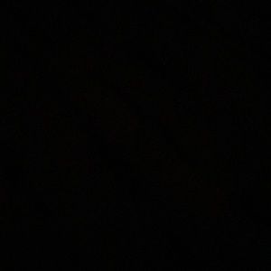 Meet your Posher, Donnie